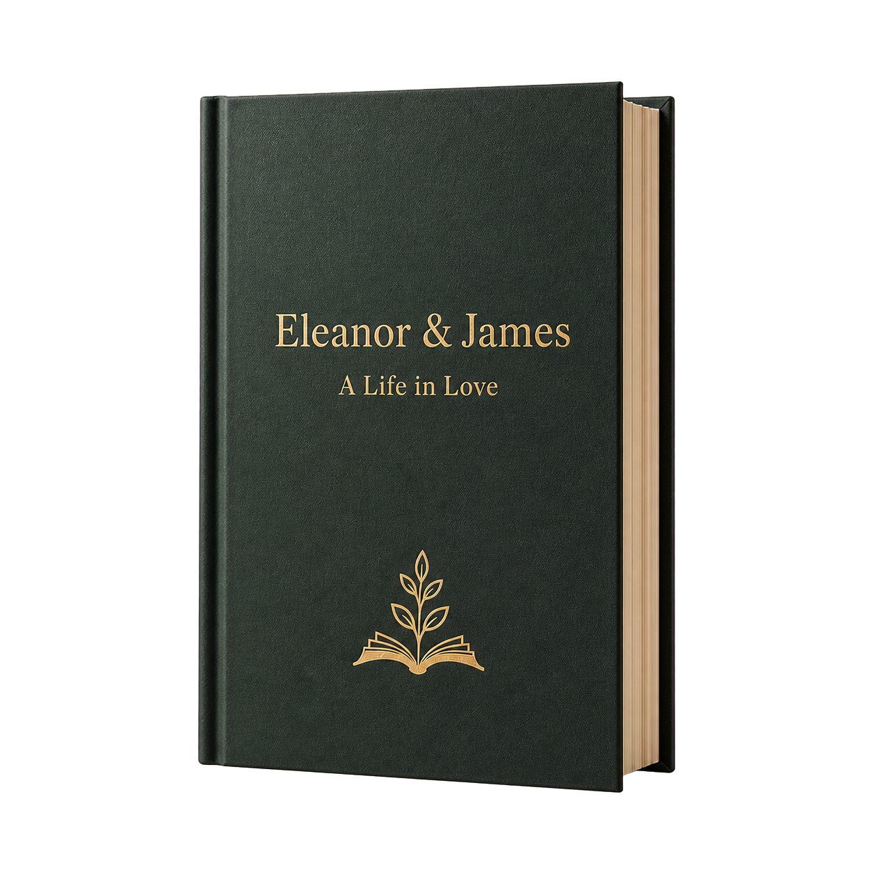 A personalized Loresta hardcover book titled Eleanor and James, A Life in Love